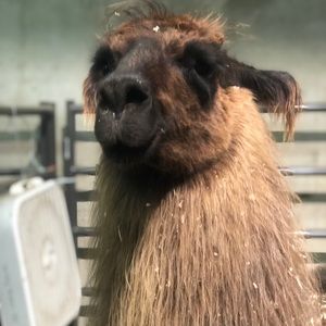 Meet your Posher, Lynn